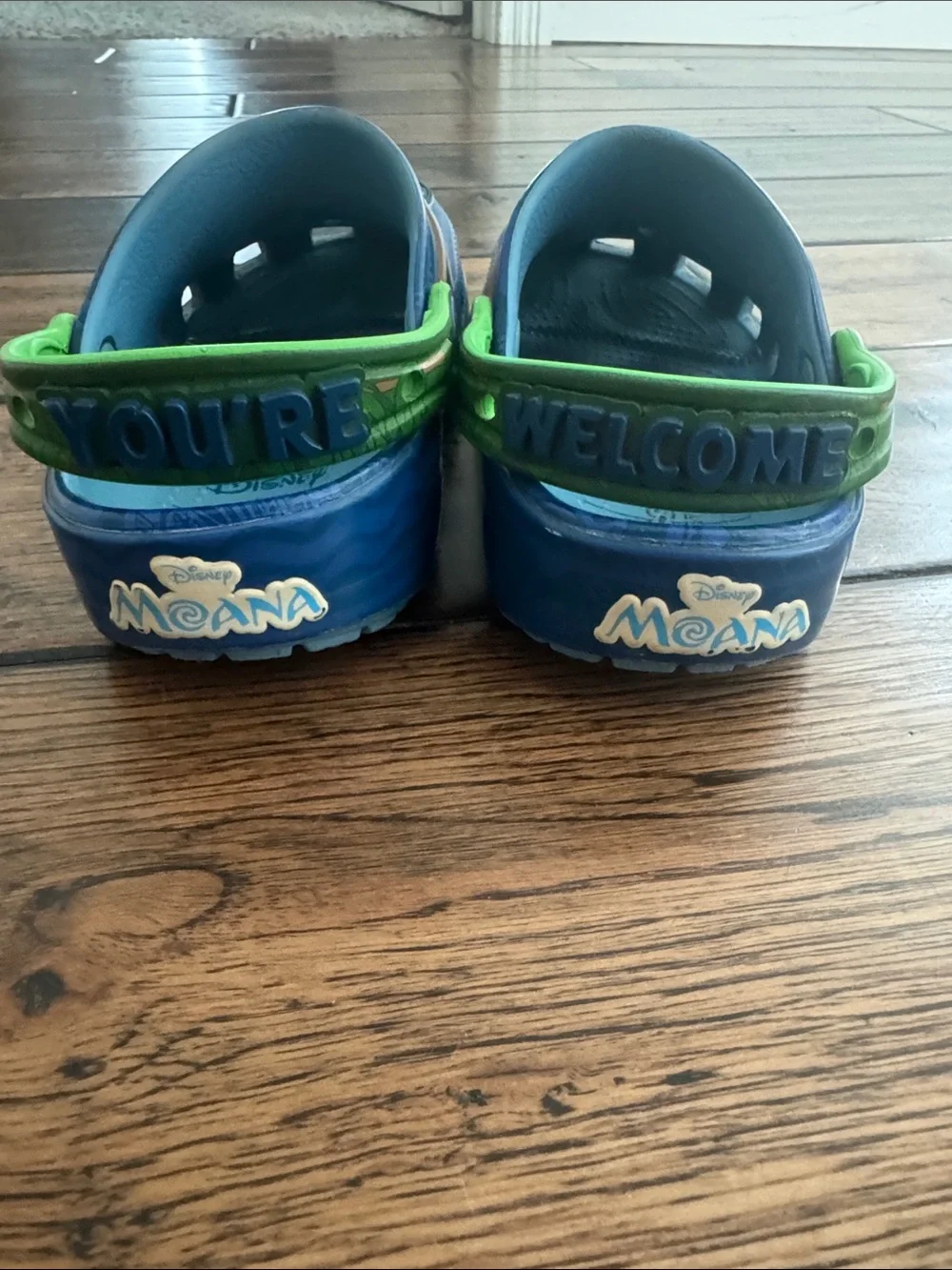Disney Kids' Blue Moana Crocs with Green Strap